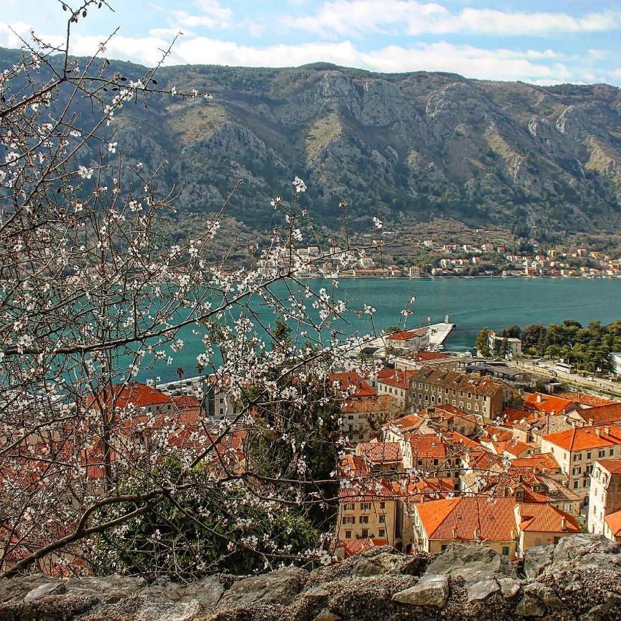 Old Town Boskovic Apartment Kotor Bagian luar foto